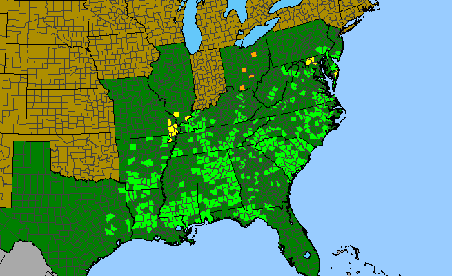 The range of Malus angustifolia