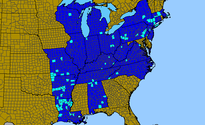 The range of Chaenomeles speciosa