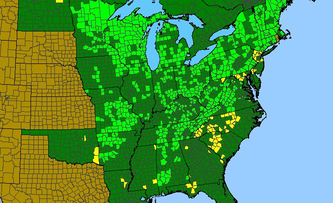 The range of Dirca palustris
