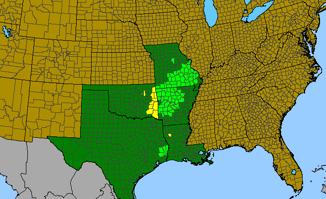 The range of Hamamelis vernalis