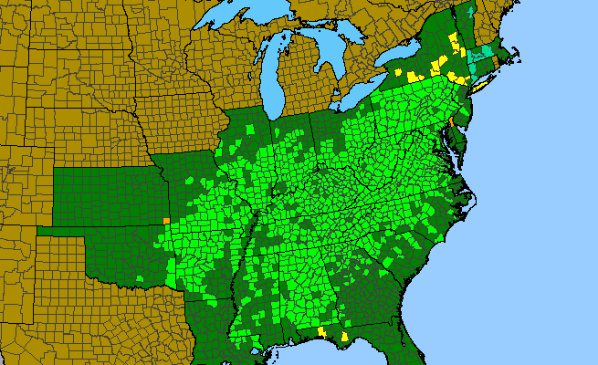 The range of Hydrangea arborescens
