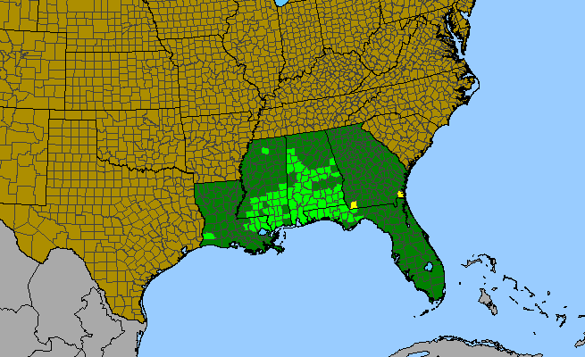 The range of Illicium floridanum
