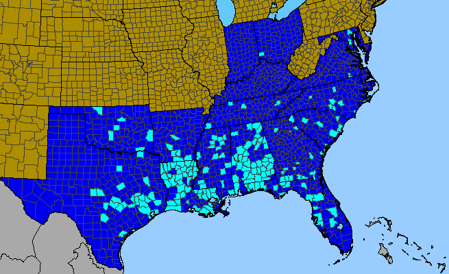 The range of Lagerstroemia indica