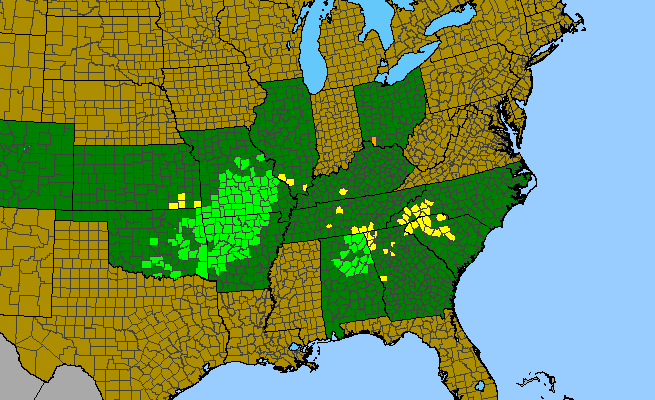 The range of Lonicera flava