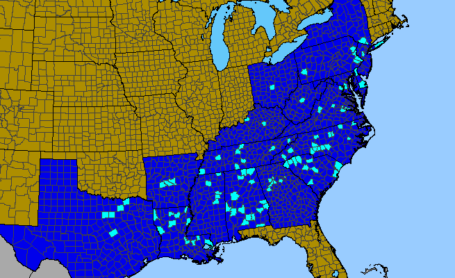 The range of Lonicera fragrantissima