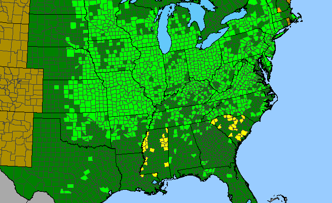 The range of Menispermum canadense