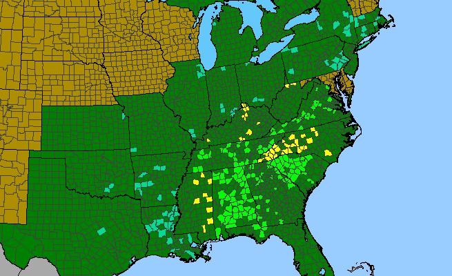 The range of Philadelphus inodorus