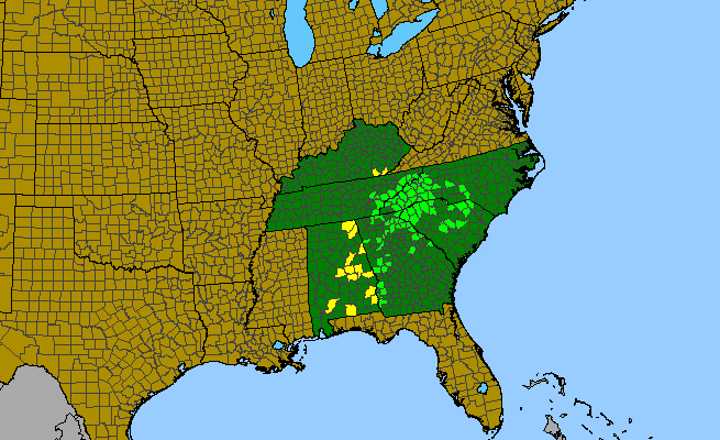 The range of Rhododendron minus