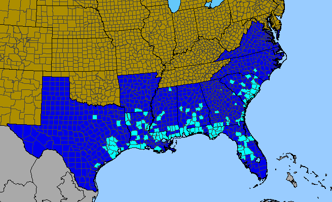 The range of Rosa laevigata