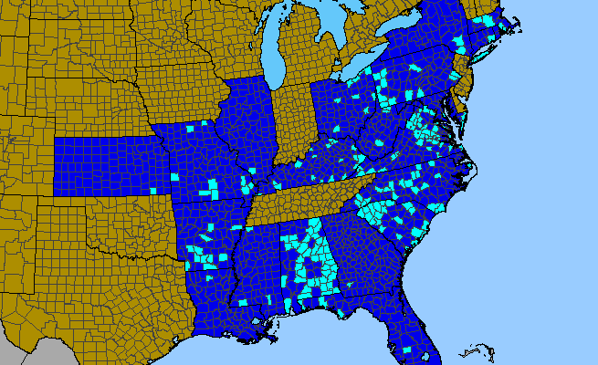 The range of Rosa luciae
