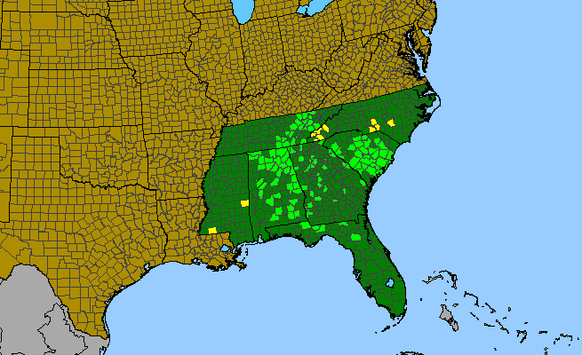 The range of Smilax hugeri