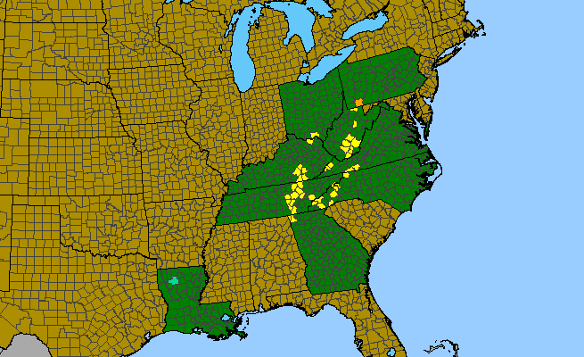 The range of Spiraea virginiana