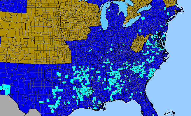 The range of Vinca major