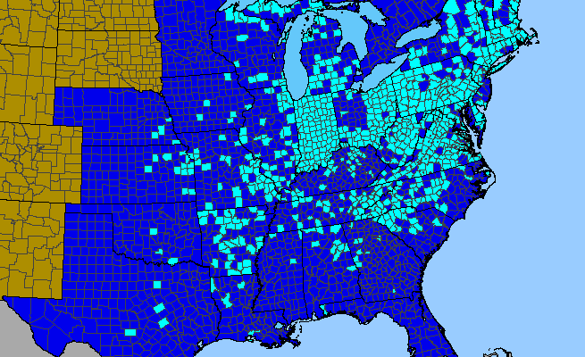 The range of Vinca minor