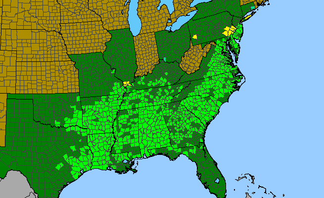 The range of Quercus phellos