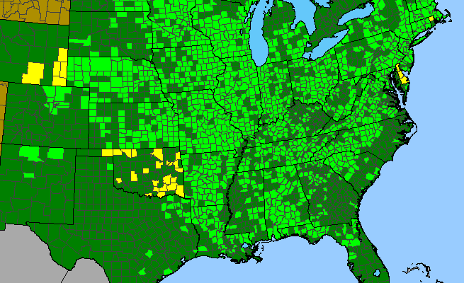 The range of Agalinis tenuifolia