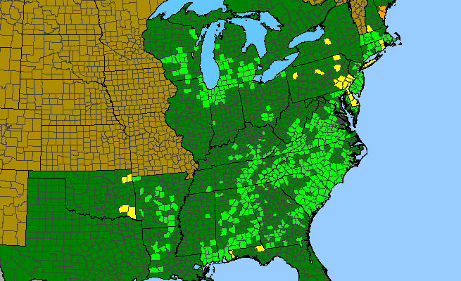The range of Aletris farinosa