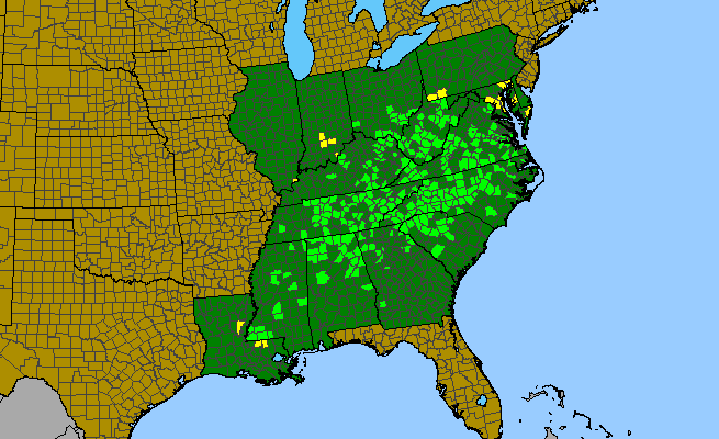 The range of Antennaria solitaria