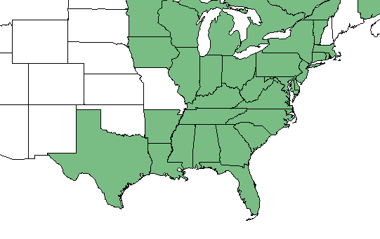 The range of Arisaema pusillum
