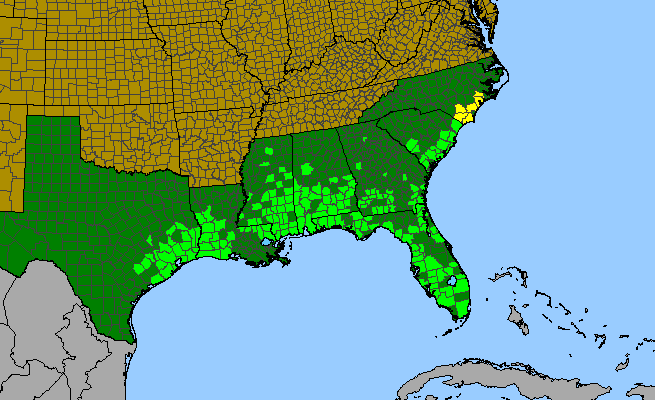 The range of Arnoglossum ovatum