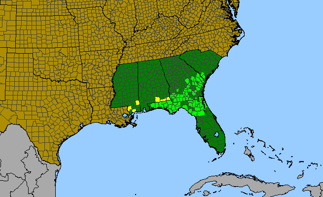 The range of Asclepias cinerea