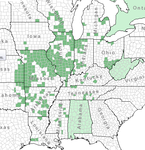 The range of Asclepias hirtella