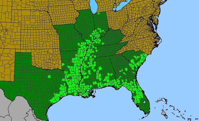 The range of Asclepias perennis