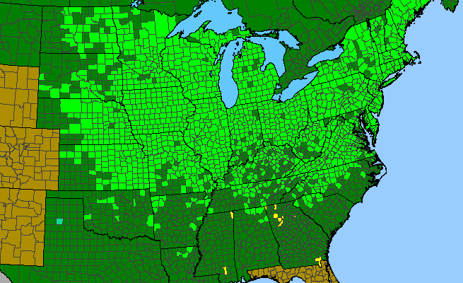 The range of Asclepias syriaca