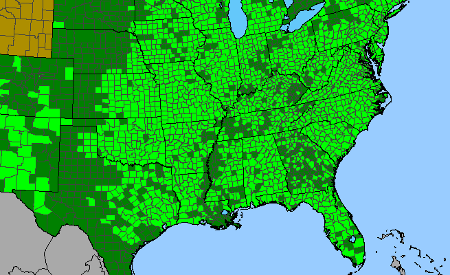 The range of Asclepias tuberosa