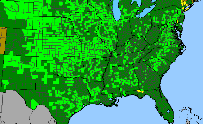 The range of Asclepias viridiflora