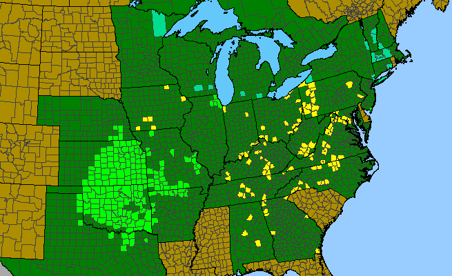 The range of Baptisia australis var. aberrans