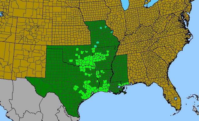 The range of Baptisia sphaerocarpa