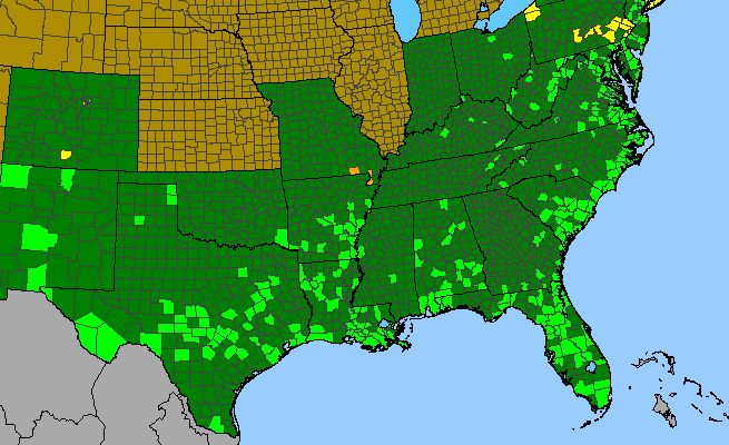 The range of Bidens laevis