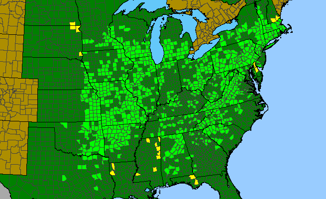 The range of Boechera canadensis