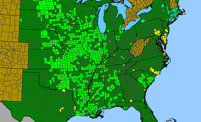 The range of Boltonia asteroides