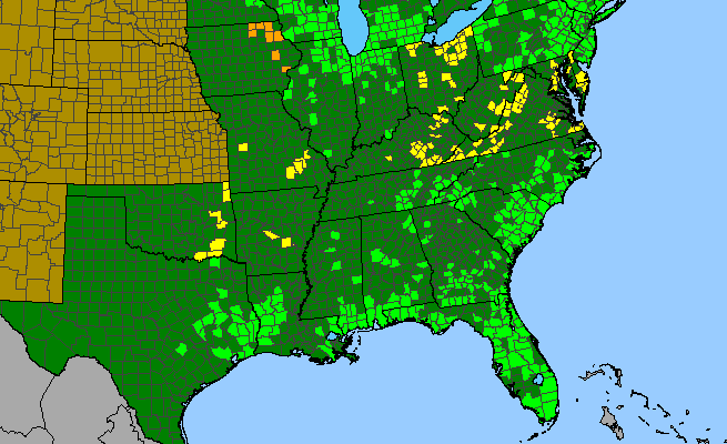 The range of Calopogon tuberosus