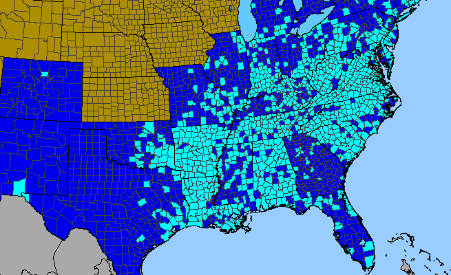 The range of Cardamine hirsuta