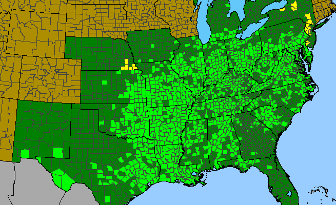 The range of Carex frankii