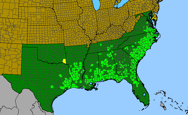 The range of Carex glaucescens