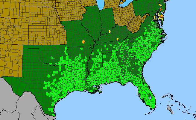 The range of Centrosema virginianum