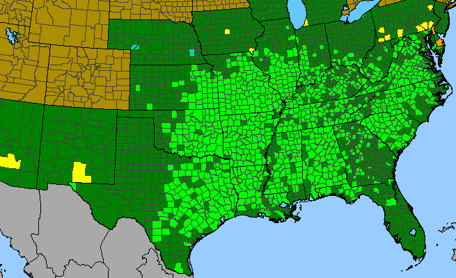 The range of Chasmanthium latifolium