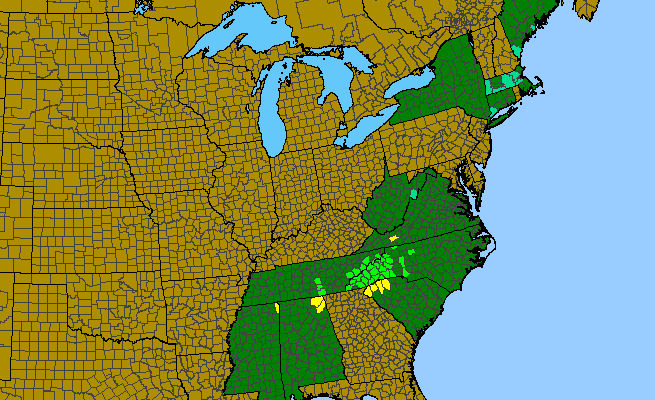 The range of Chelone lyonii