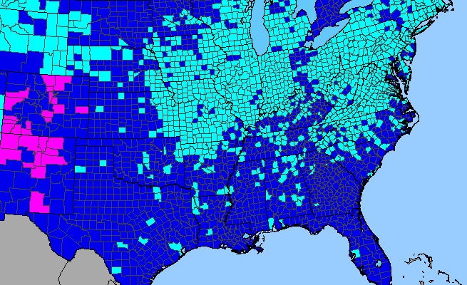 The range of Cichorium intybus