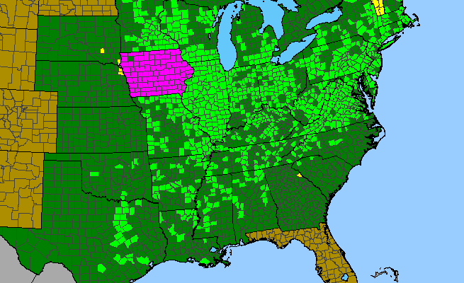 The range of Cirsium discolor