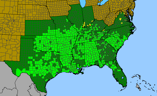 The range of Cocculus carolinus