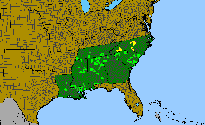 The range of Collinsonia tuberosa