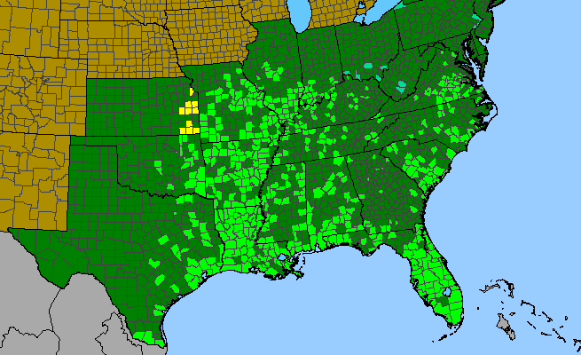 The range of Commelina diffusa