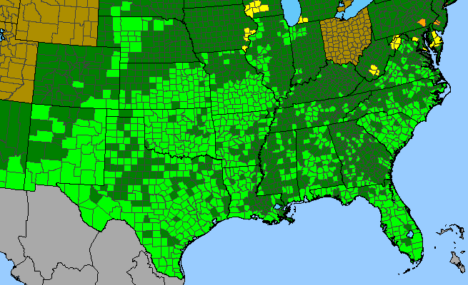 The range of Commelina erecta