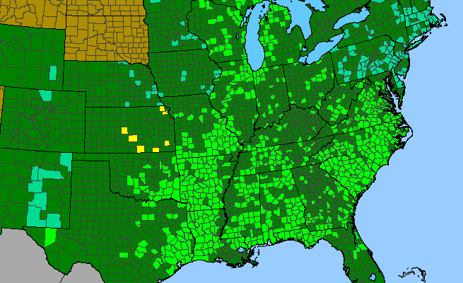 The range of Coreopsis lanceolata