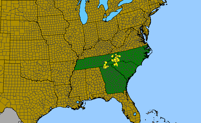 The range of Coreopsis latifolia